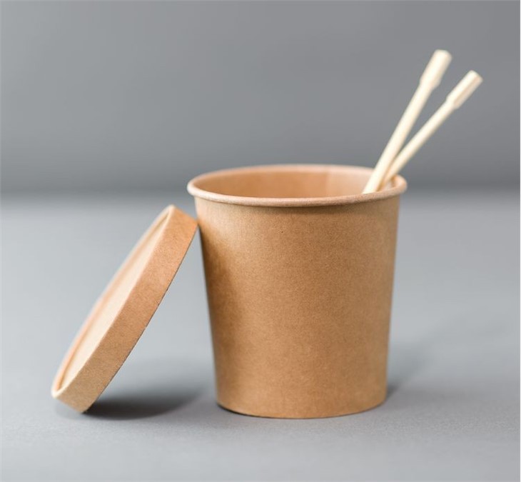 paper to go container(001)